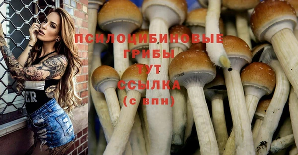 прущая мука Иннополис