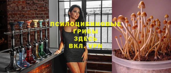mdma Каменногорск