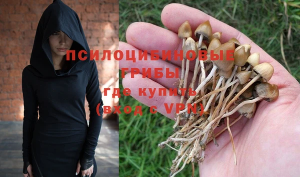 гидропоника Каменск-Шахтинский