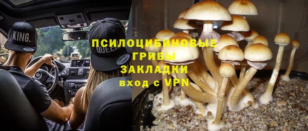 прущий лед Семилуки