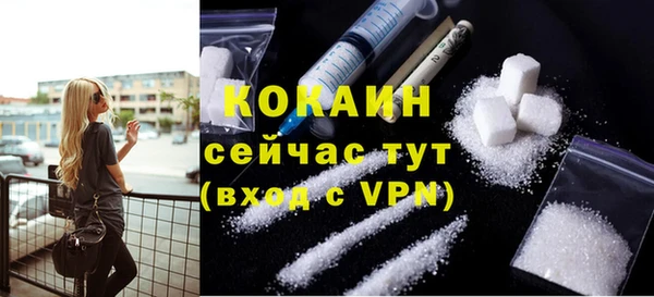 твердый Снежногорск