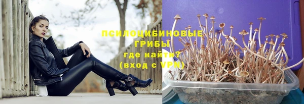 трава Снежинск